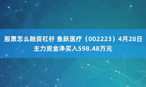 股票怎么融资杠杆 鱼跃医疗（002223）4月28日主力资金净买入598.48万元
