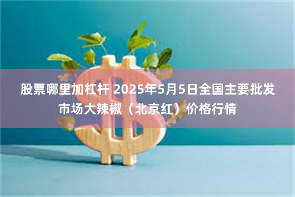 股票哪里加杠杆 2025年5月5日全国主要批发市场大辣椒（北京红）价格行情