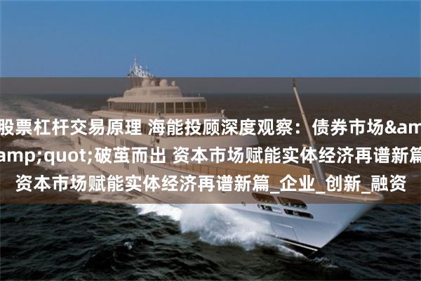 股票杠杆交易原理 海能投顾深度观察：债券市场&quot;科技板&quot;破茧而出 资本市场赋能实体经济再谱新篇_企业_创新_融资