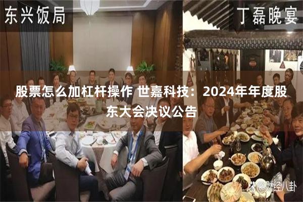 股票怎么加杠杆操作 世嘉科技：2024年年度股东大会决议公告