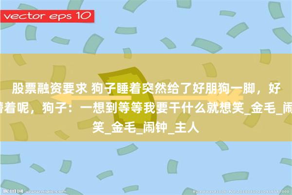 股票融资要求 狗子睡着突然给了好朋狗一脚，好朋狗还懵着呢，狗子：一想到等等我要干什么就想笑_金毛_闹钟_主人