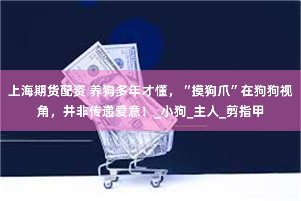 上海期货配资 养狗多年才懂，“摸狗爪”在狗狗视角，并非传递爱意！_小狗_主人_剪指甲