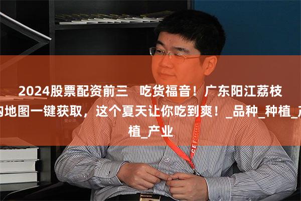 2024股票配资前三   吃货福音！广东阳江荔枝采购地图一键获取，这个夏天让你吃到爽！_品种_种植_产业