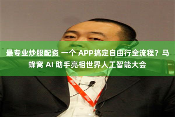 最专业炒股配资 一个 APP搞定自由行全流程？马蜂窝 AI 助手亮相世界人工智能大会