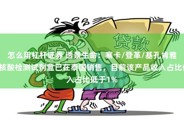 怎么用杠杆证券 透景生命：寨卡/登革/基孔肯雅热病毒核酸检测试剂盒已在泰国销售，目前该产品收入占比低于1%